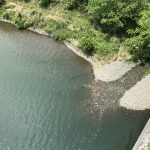 【今年もガサガサ、解禁間近。】相模川系の用水路に水も入り田植えも始まり、いざ。