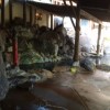 鹿児島県霧島市にある秘湯【野の湯温泉】最高でした。動画あり！