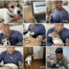 【愛犬動画をYouTubeに更新しようと…】仲間からのリクエストに奮闘。
